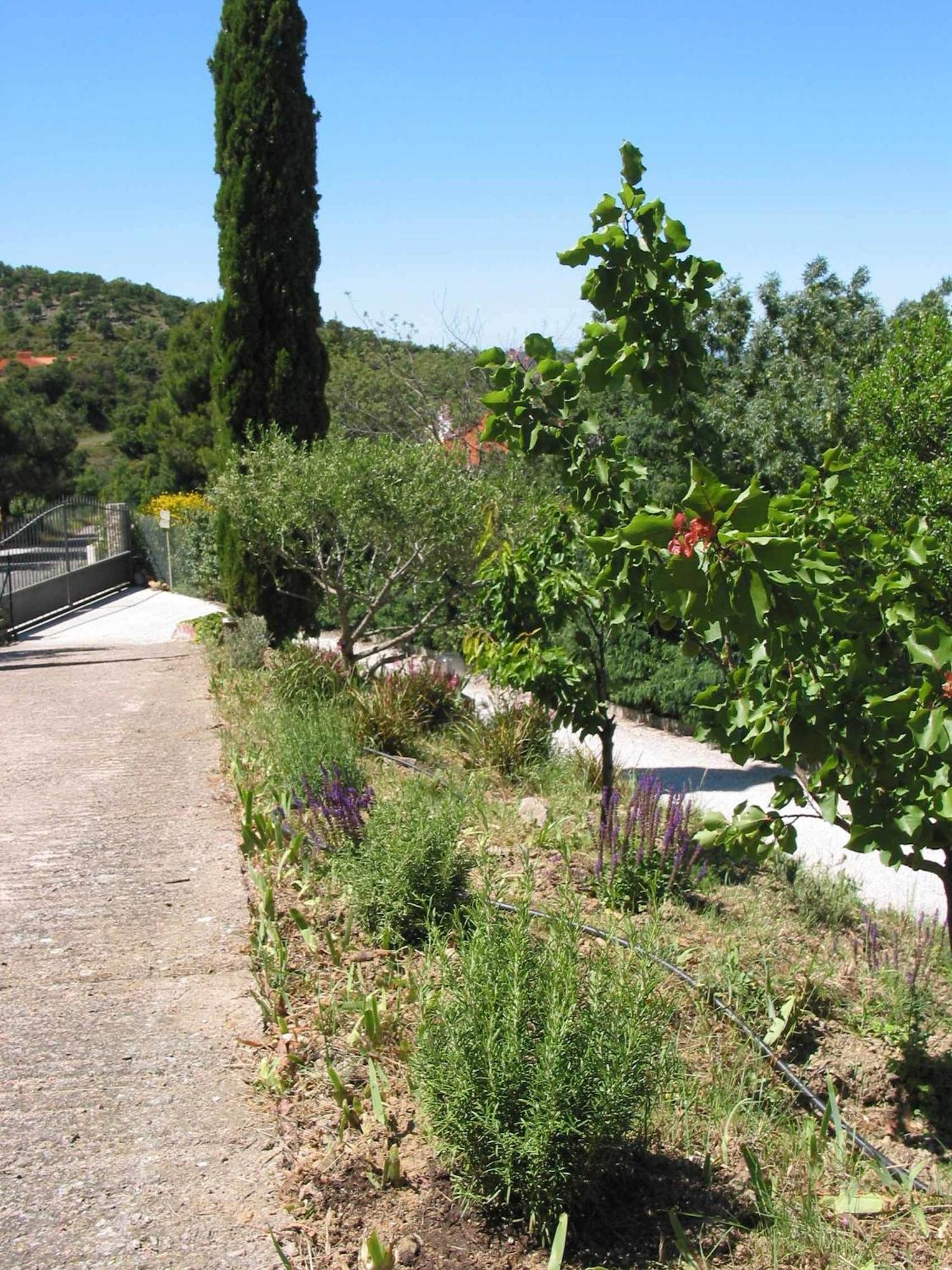 Le Relais Des Chartreuses Otel Le Boulou Dış mekan fotoğraf